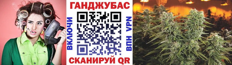 где купить   Ливны  Бошки марихуана индика 